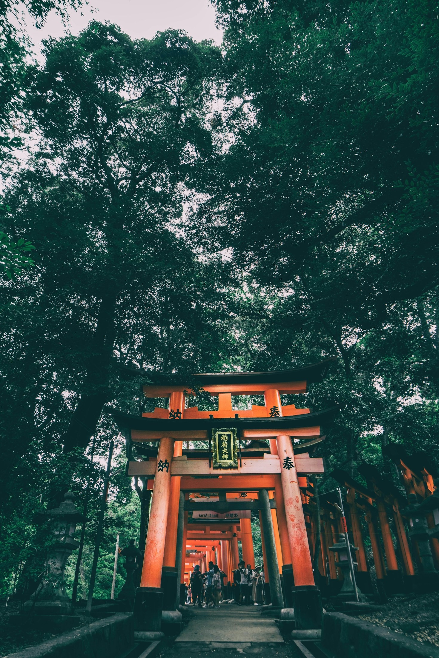 Menggali Akar Tradisi Jepang yang Mendalam
